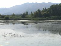 P8200190.JPG - 2007:08:20 09:38:21