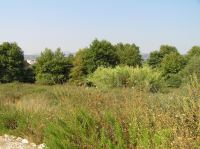 P8200214.JPG - 2007:08:20 09:51:53