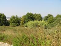 P8200215.JPG - 2007:08:20 09:51:53