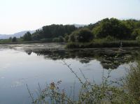 P8200218.JPG - 2007:08:20 09:52:14