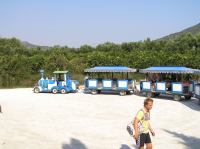 P8200228.JPG - 2007:08:20 09:55:21