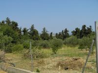 P8200243.JPG - 2007:08:20 10:42:01