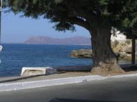 P8210035.JPG - 2007:08:21 16:42:28