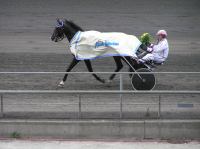 P8250137.JPG - 2007:08:25 16:10:25