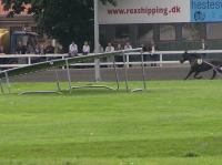 P8250196.JPG - 2007:08:25 16:32:07