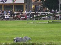 P8250198.JPG - 2007:08:25 16:32:08