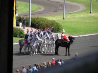 P8260222.JPG - 2007:08:26 13:08:54