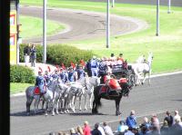 P8260224.JPG - 2007:08:26 13:09:14