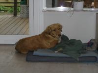 P9200015.JPG - 2007:09:20 13:03:25