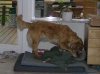 P9200016.JPG - 2007:09:20 13:03:33