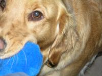 P9200017.JPG - 2007:09:20 13:03:40