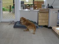 P9200018.JPG - 2007:09:20 13:04:05