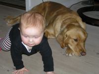 P9200020.JPG - 2007:09:20 15:41:44