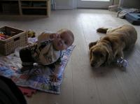 P9260038.JPG - 2007:09:26 09:15:15