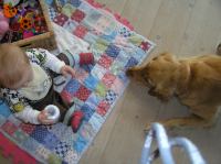 P9260040.JPG - 2007:09:26 09:19:25