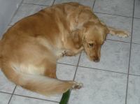 P9270046.JPG - 2007:09:27 13:00:10