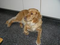 P9270054.JPG - 2007:09:27 15:52:45