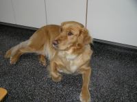 P9270055.JPG - 2007:09:27 15:52:48