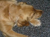 PA060012.JPG - 2007:10:06 14:17:03