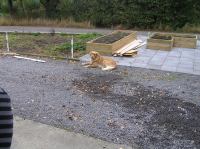 PA110059.JPG - 2007:10:11 10:47:28