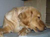 PB290104.JPG - 2007:11:29 22:12:06