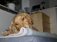 PB290105.JPG - 2007:11:29 22:12:19