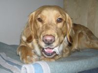 PB290106.JPG - 2007:11:29 22:12:54