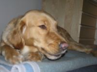 PB290107.JPG - 2007:11:29 22:12:57