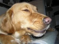 PB290108.JPG - 2007:11:29 22:13:07