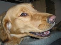 PB290109.JPG - 2007:11:29 22:13:29