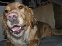 PB290110.JPG - 2007:11:29 22:13:34