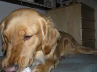 PB290111.JPG - 2007:11:29 22:13:40