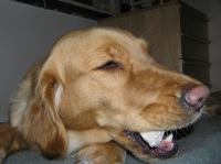 PB290112.JPG - 2007:11:29 22:13:59