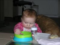 PC150145.JPG - 2007:12:15 16:46:35