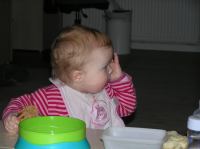 PC150151.JPG - 2007:12:15 16:47:48