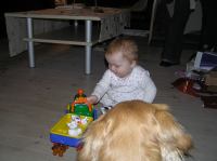 PC210025.JPG - 2007:12:21 08:53:48