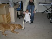 PC210029.JPG - 2007:12:21 08:54:53