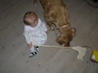 PC210032.JPG - 2007:12:21 08:55:37