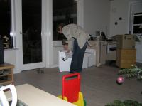 PC210043.JPG - 2007:12:21 18:43:20