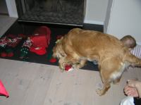 PC240123.JPG - 2007:12:24 10:03:01