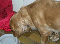 PC270261.JPG - 2007:12:27 19:20:01