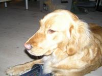 P1160293.JPG - 2008:01:16 18:21:55