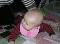 P1260340.JPG - 2008:01:26 20:36:05