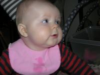 P1260341.JPG - 2008:01:26 20:36:45