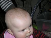 P1260342.JPG - 2008:01:26 20:36:50