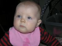 P1260343.JPG - 2008:01:26 20:36:56