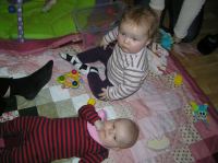 P1260346.JPG - 2008:01:26 20:39:45