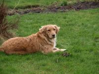 P1010048.JPG - 0000:00:00 00:00:00