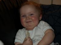 P2060081.JPG - 2008:02:06 17:13:40