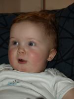 P2060093.JPG - 2008:02:06 17:15:10